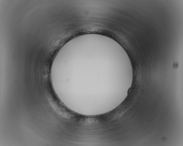X0000112200546200909041319