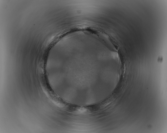 X0000112200547200909041319