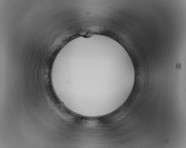 X0000112200548200909041319