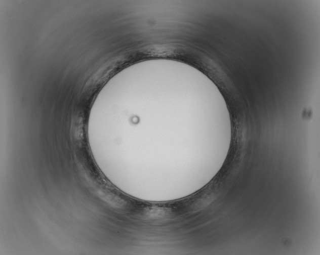 X0000112200549200909041319