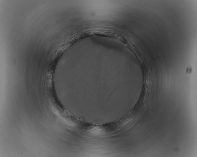 X0000112200551200909041319