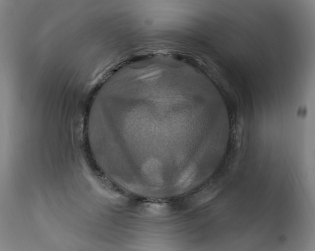 X0000112200552200909041319