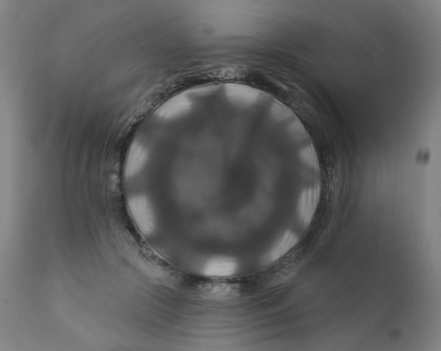 X0000112200553200909041319