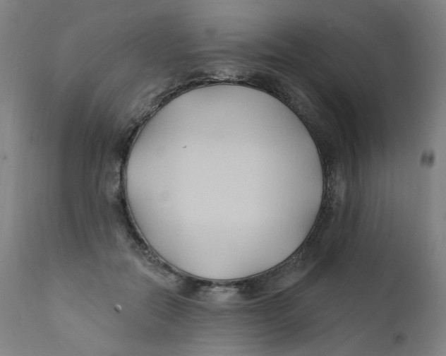 X0000112200554200909041319