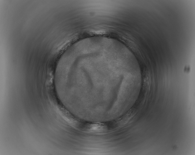 X0000112200555200909041319