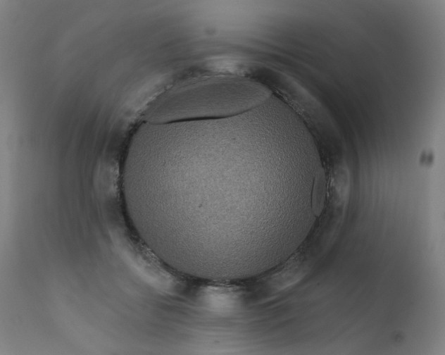 X0000112200556200909041320