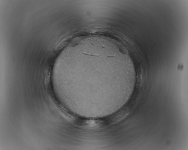X0000112200558200909041320