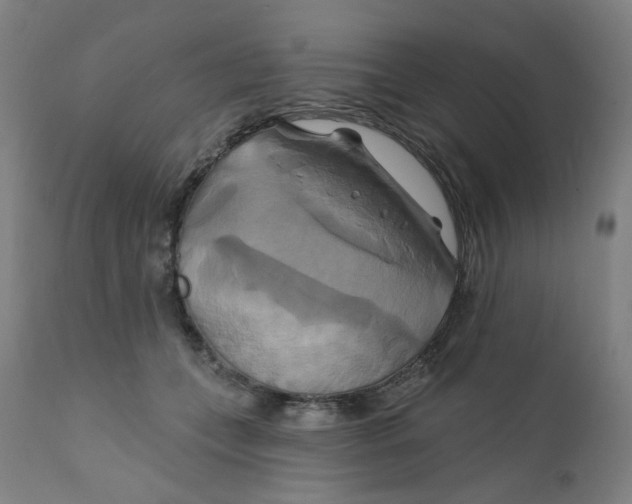 X0000112200559200909041320