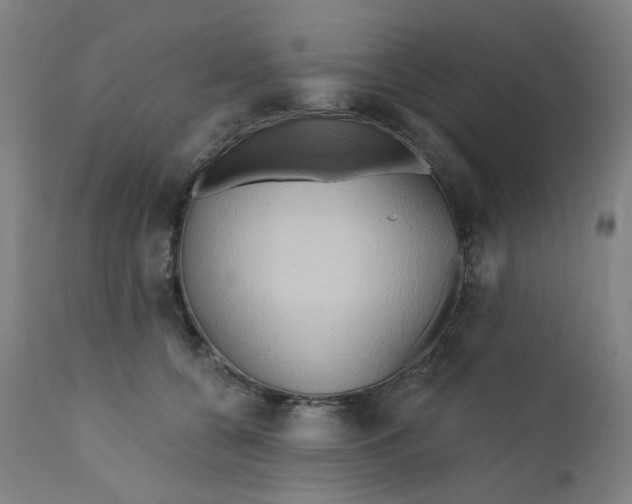 X0000112200560200909041320