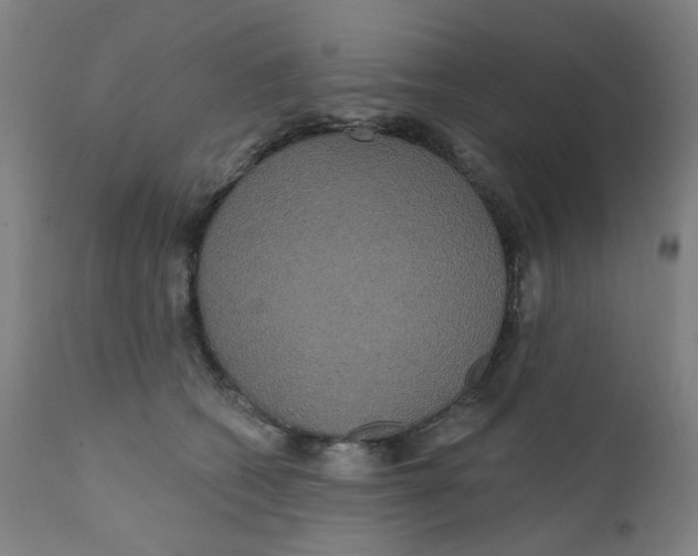 X0000112200562200909041320