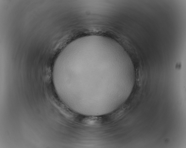 X0000112200563200909041320