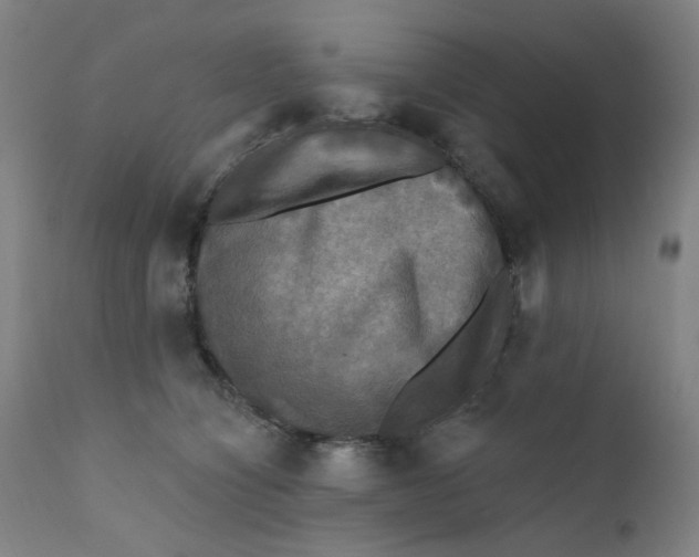 X0000112200564200909041320