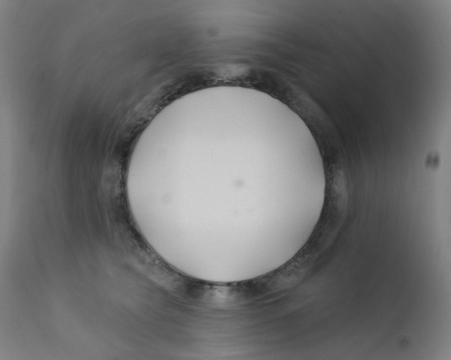 X0000112200565200909041320