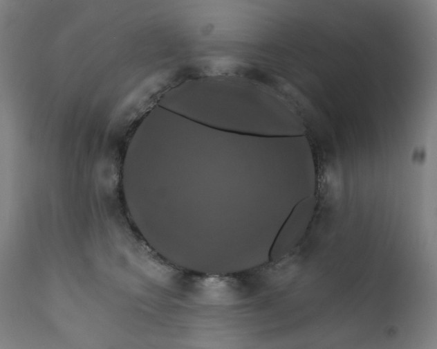X0000112200566200909041320