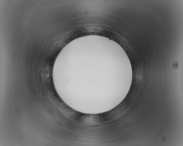 X0000112200567200909041320
