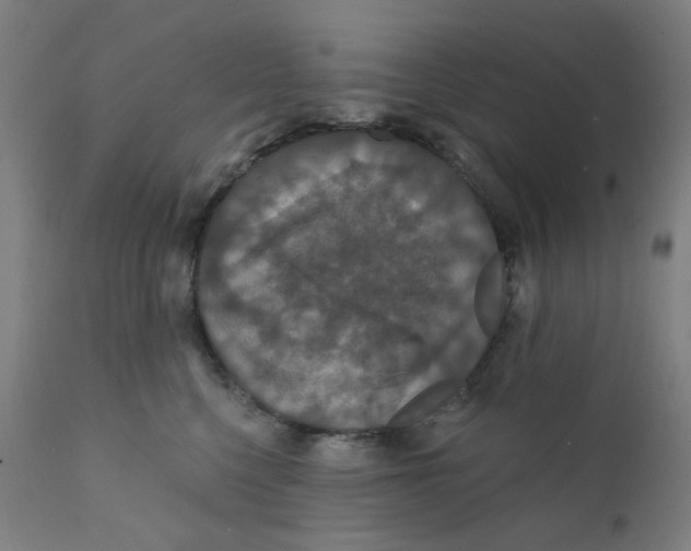 X0000112200568200909041320