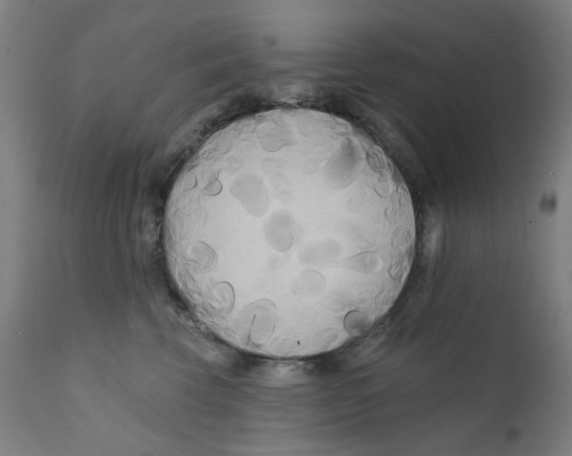 X0000112200569200909041320