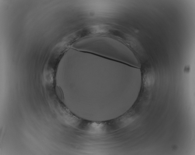 X0000112200570200909041320
