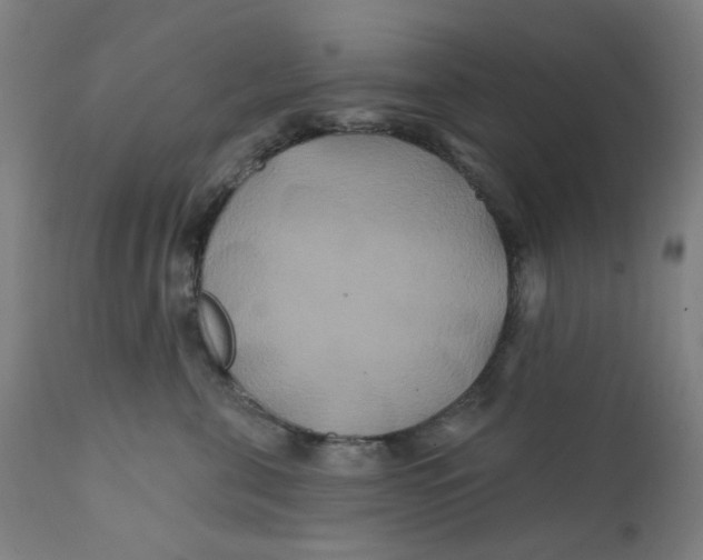X0000112200571200909041320
