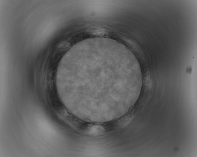 X0000112200572200909041320