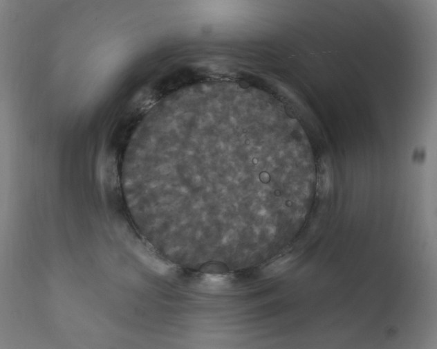 X0000112200573200909041320