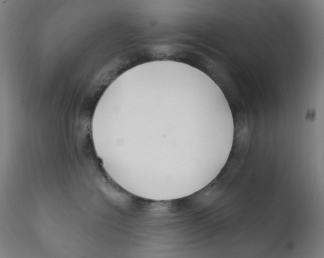 X0000112200574200909041320