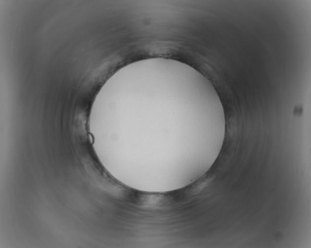 X0000112200575200909041320