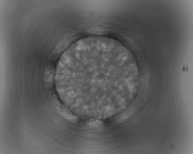 X0000112200576200909041320