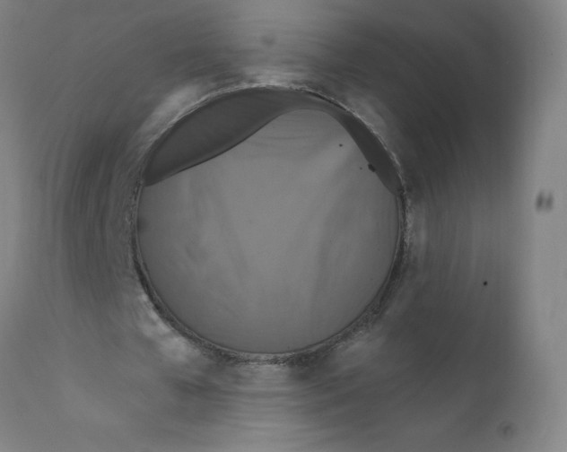X0000112200577200909041319