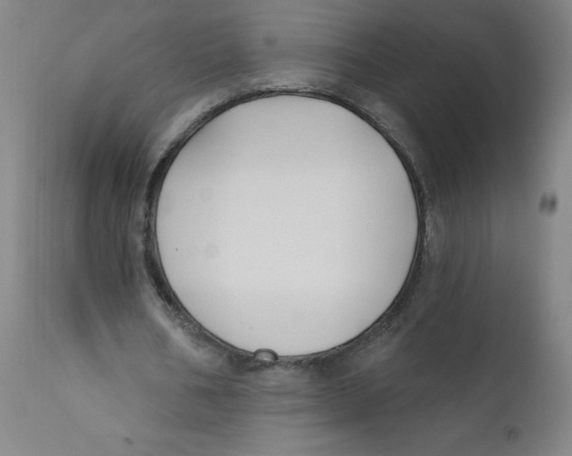 X0000112200578200909041319