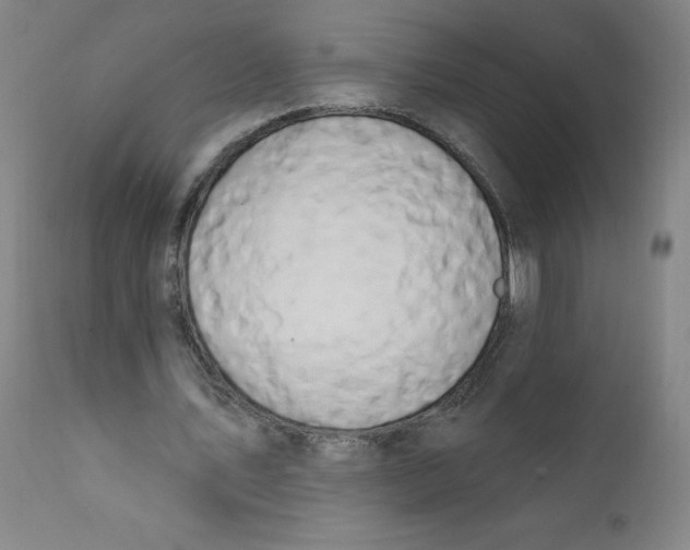 X0000112200579200909041319