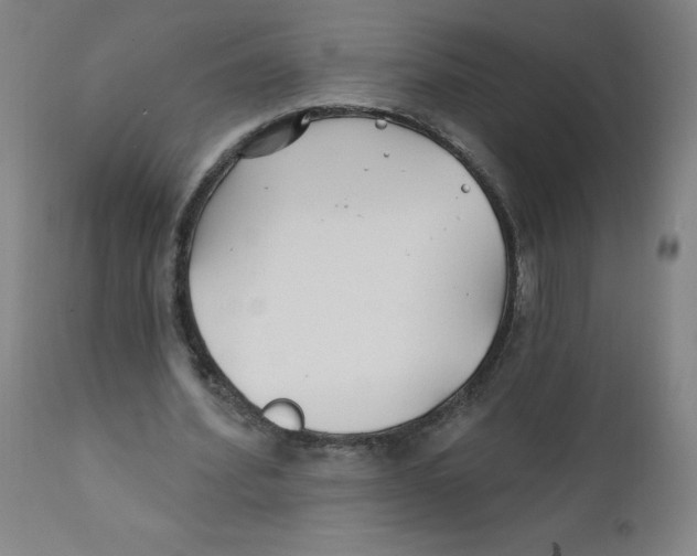 X0000112200580200909041319