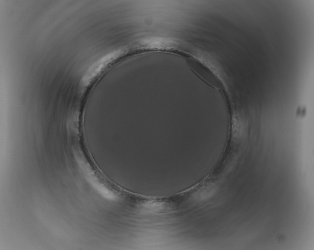 X0000112200581200909041319