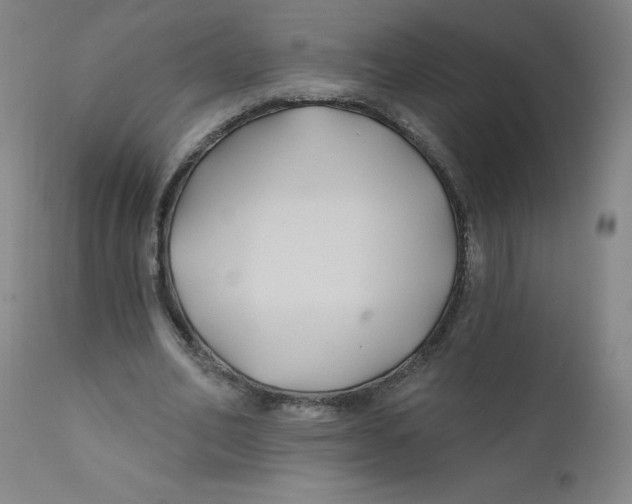X0000112200582200909041319
