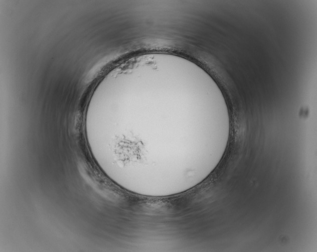 X0000112200583200909041319