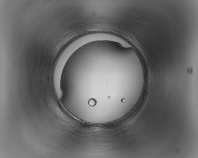X0000112200585200909041319