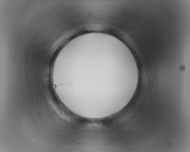 X0000112200586200909041319