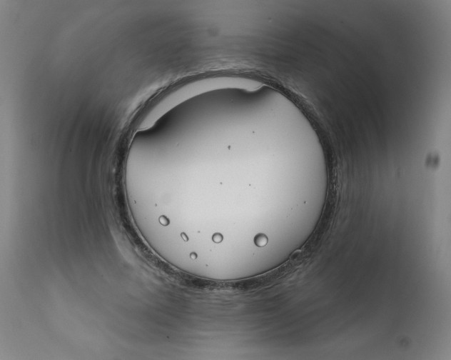 X0000112200587200909041319