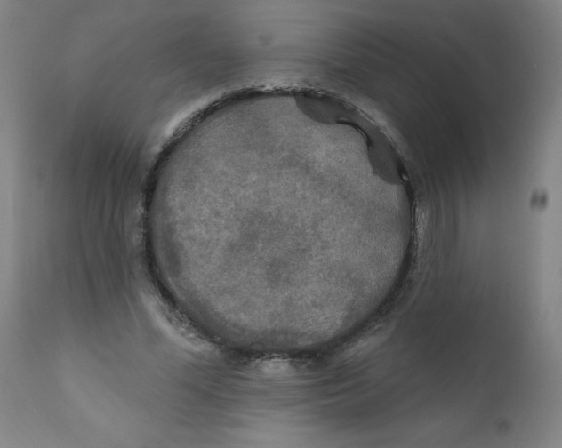 X0000112200588200909041319