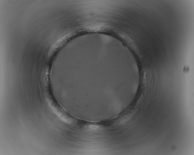 X0000112200590200909041319