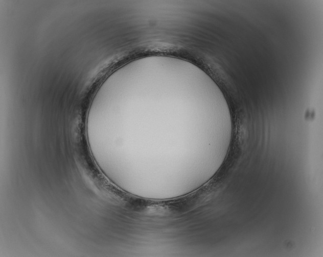 X0000112200591200909041319