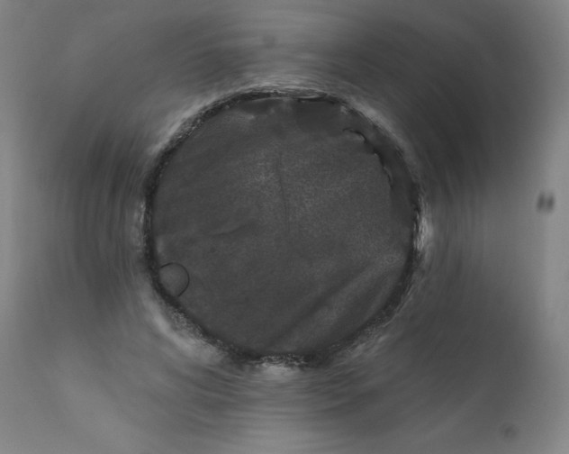X0000112200592200909041319