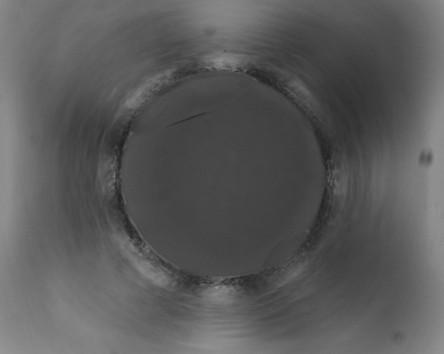 X0000112200593200909041319
