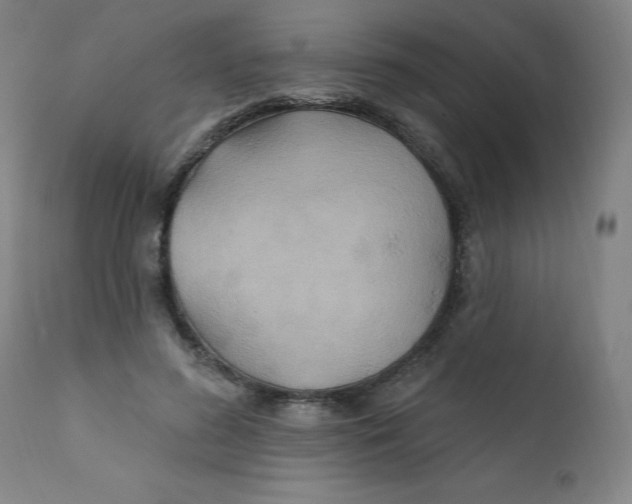 X0000112200596200909041319