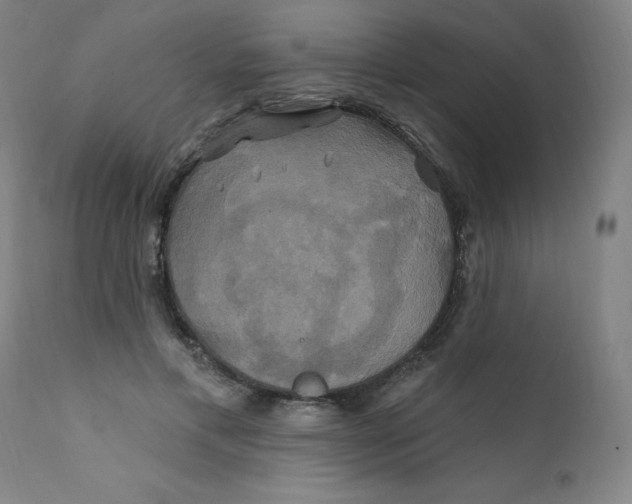 X0000112200597200909041319