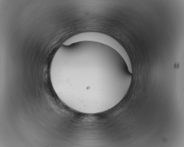 X0000112200599200909041318