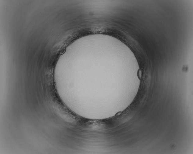 X0000112200601200909041318