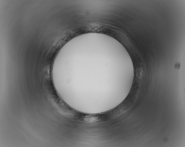 X0000112200602200909041318