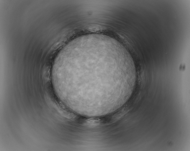 X0000112200606200909041318