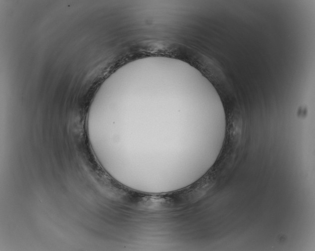 X0000112200607200909041318